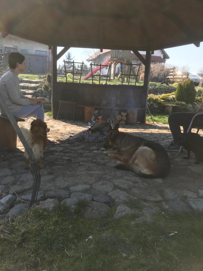 Agroturystyka Na Gorce Villa Nowa Wies Malborska Buitenkant foto