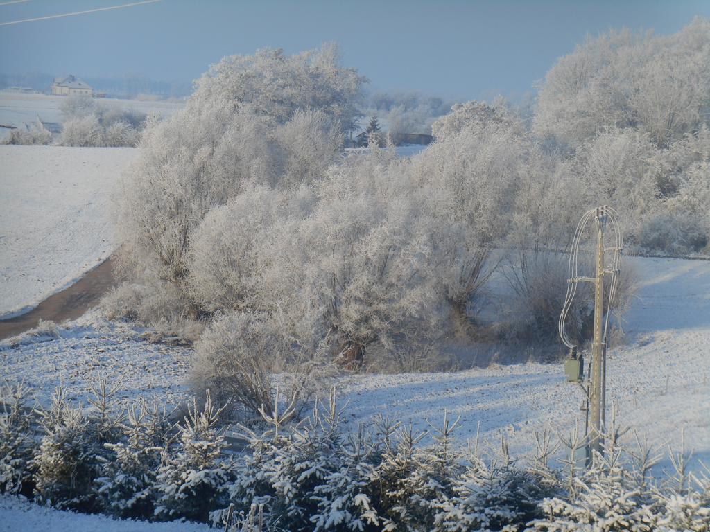 Agroturystyka Na Gorce Villa Nowa Wies Malborska Buitenkant foto